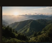 Plantație de cafea în zonă montană, la răsărit